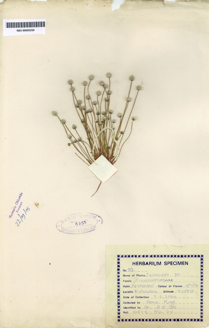NBU 00005250