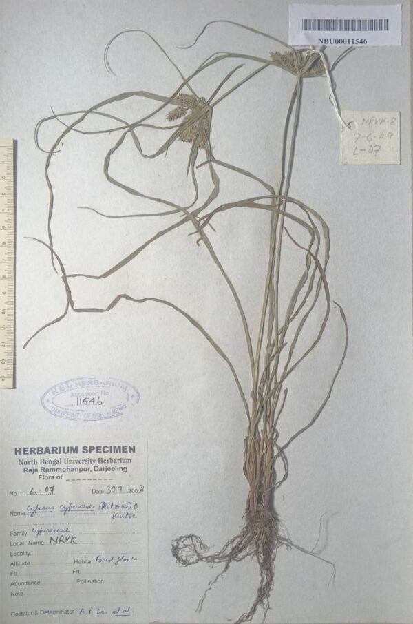 DocScanner Jun 16, 2026 12-04